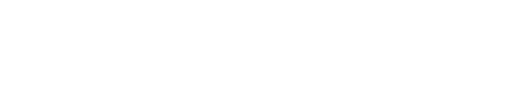 Asseco Central Europe